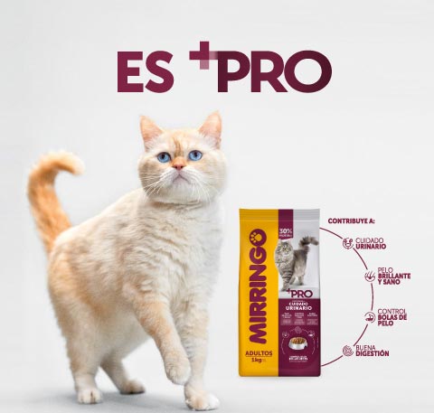 Mirringo + pro 3