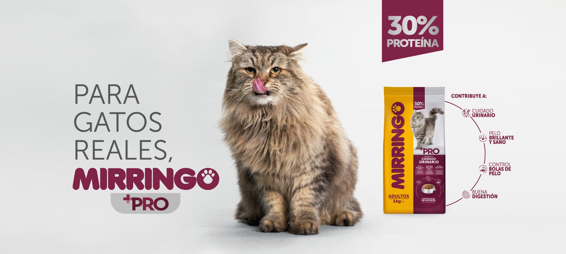 Mirringo + pro 3