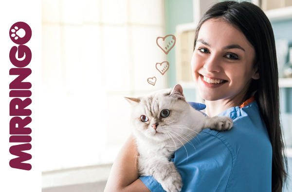 Zoorpresas Mirringo: historia de veterinarios