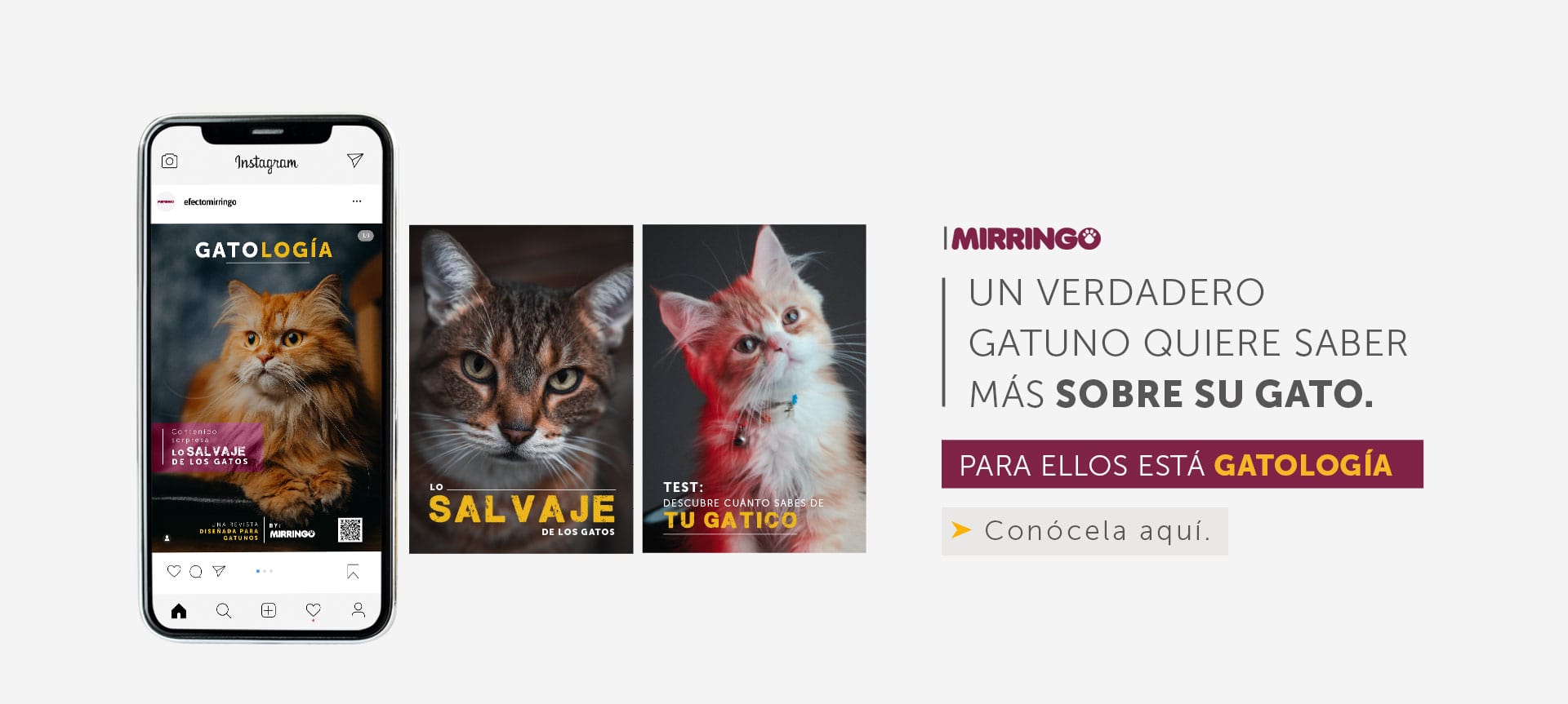 Banner home revista Gatología