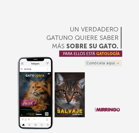 Banner home revista Gatología