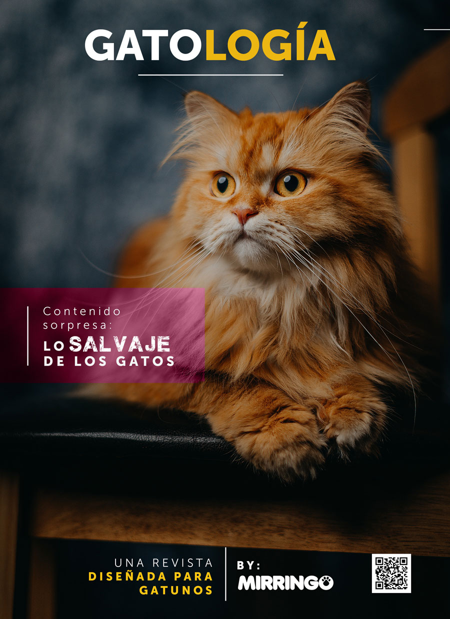 portada Gatologia