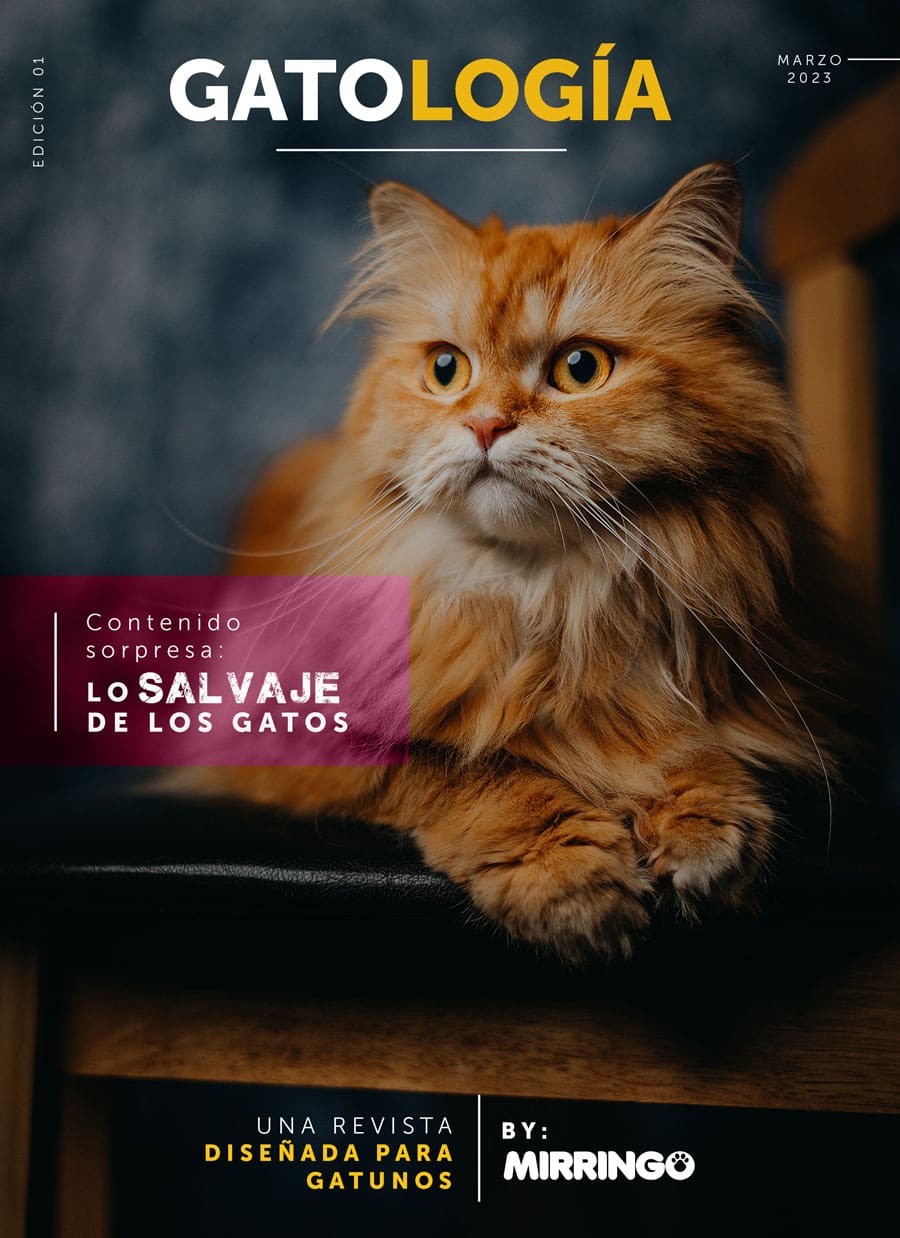 portada Gatologia