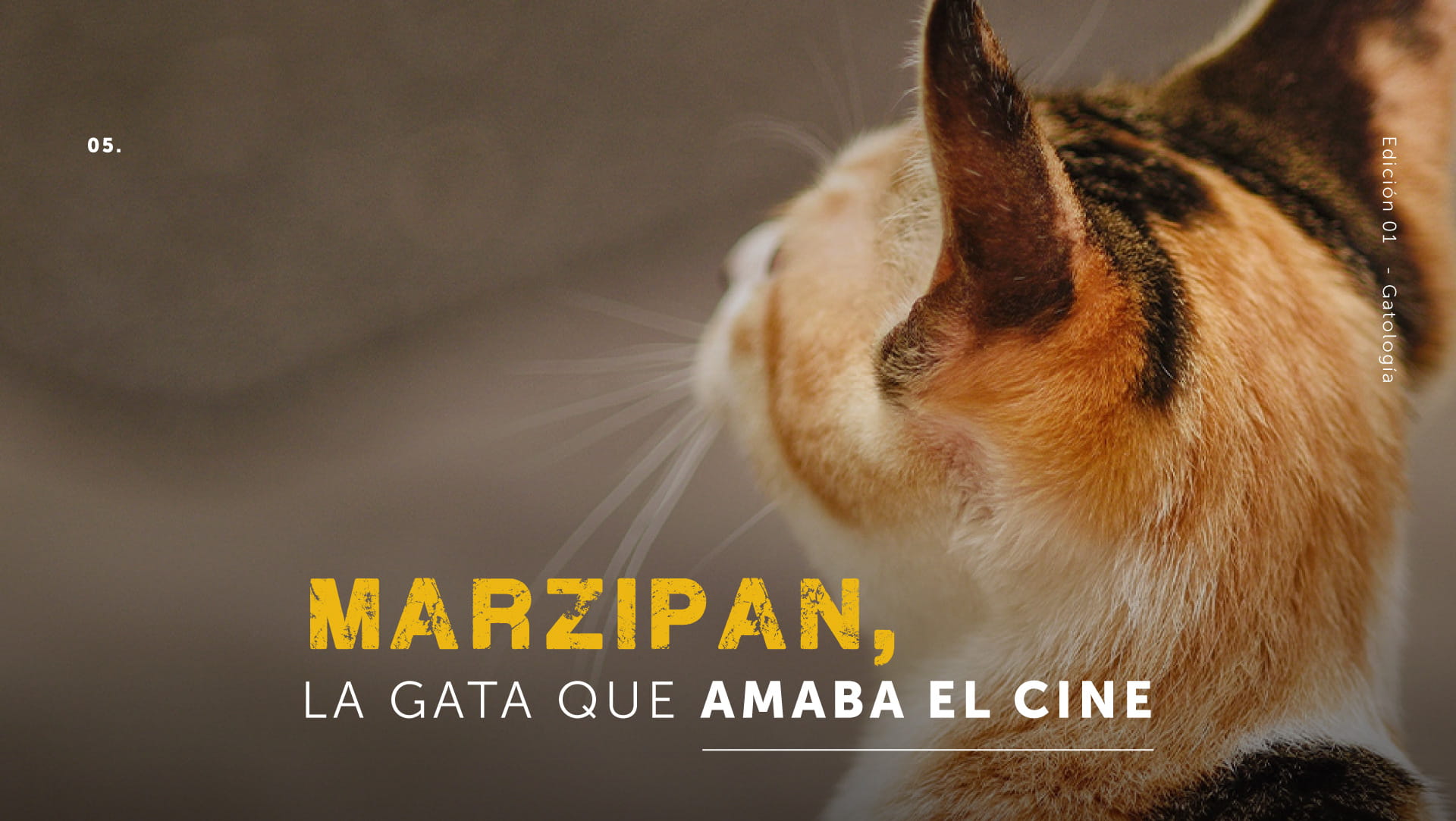 Marzipan la gata que amaba el cine