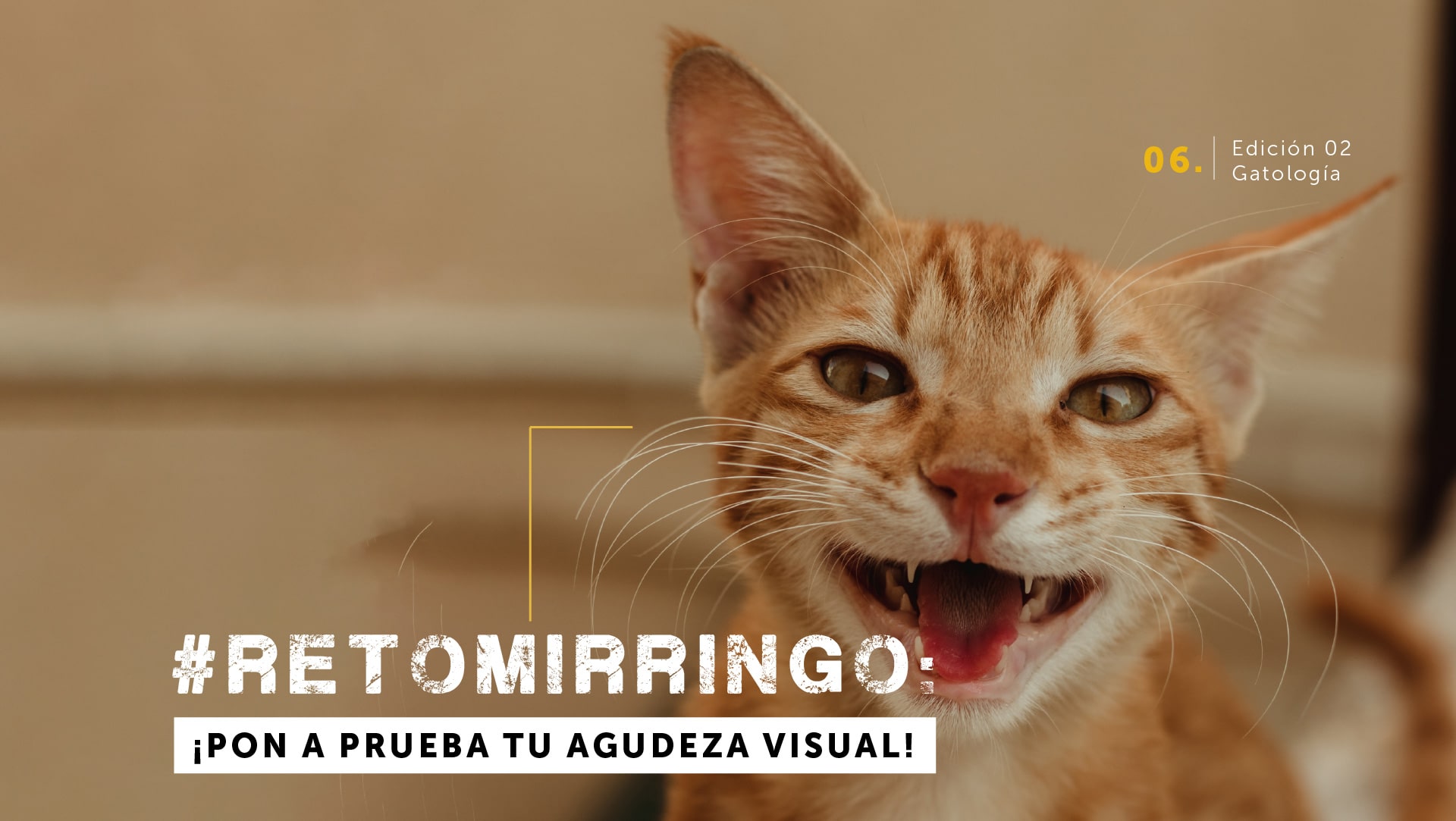 #retomirringo: