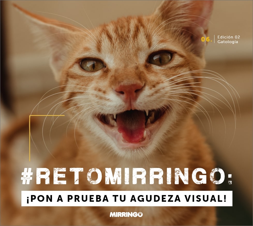 #retomirringo: