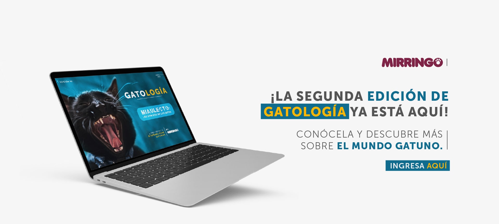 Banner home Gatología edición 2