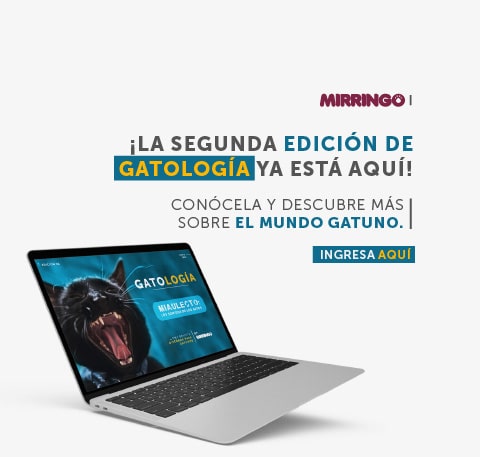 Banner home Gatología edición 2