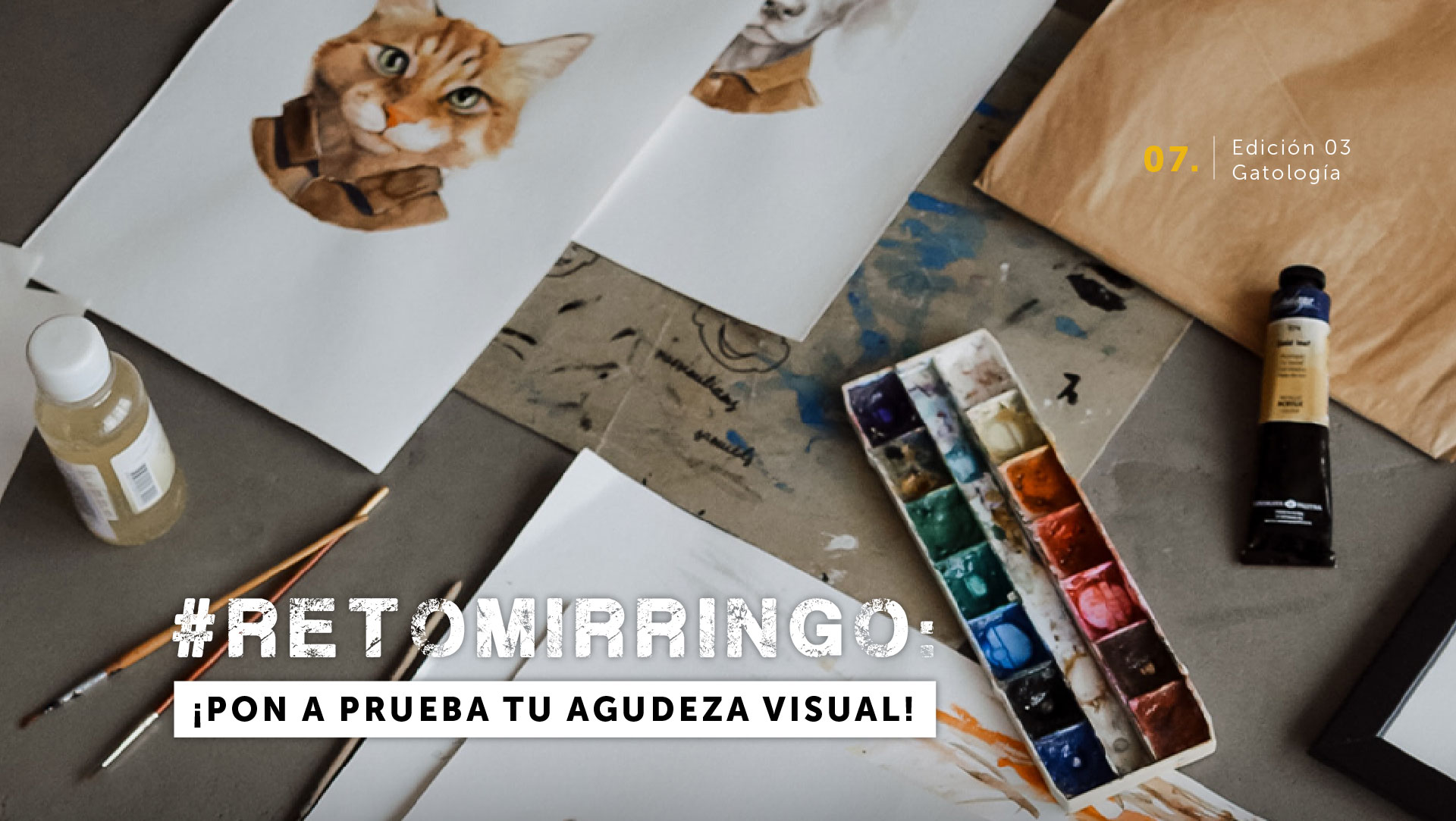 retomirringo A pintar