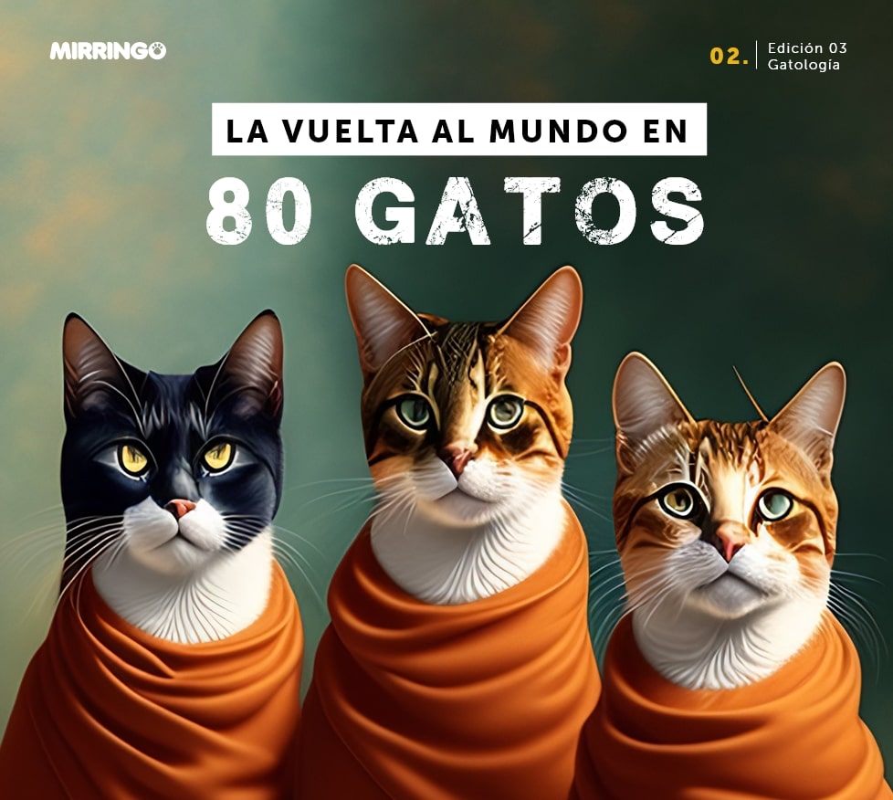 La vuelta al mundo en 80 gatos