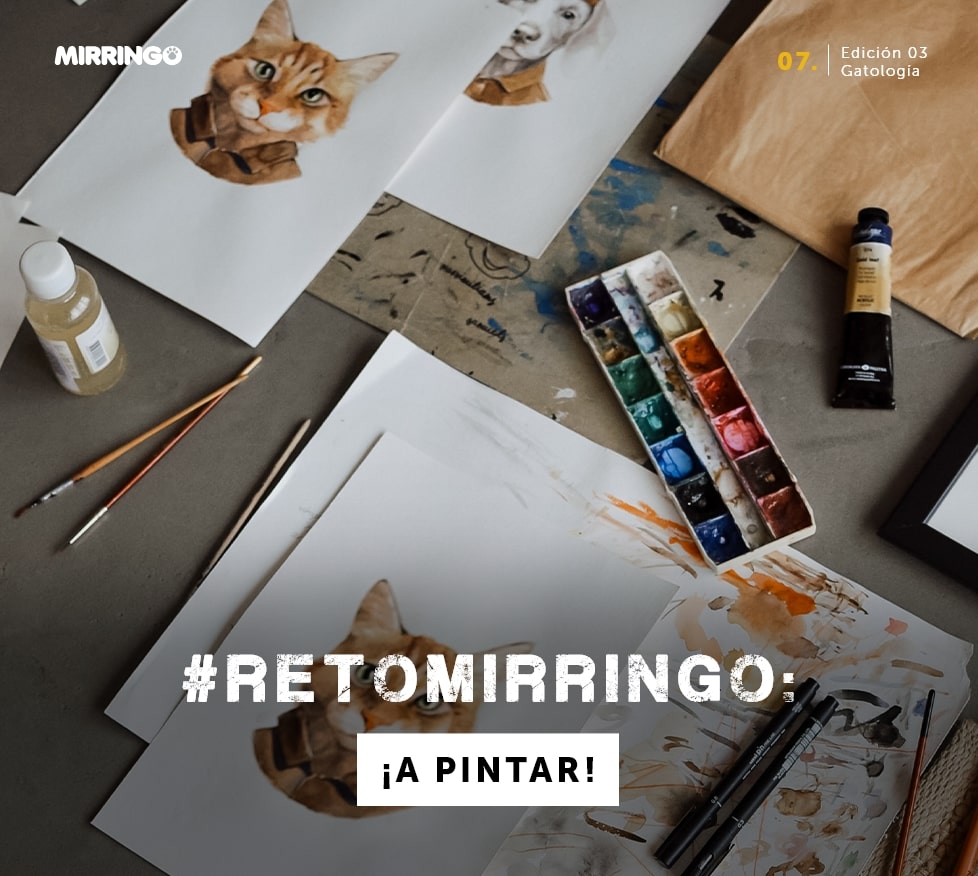 retomirringo A pintar