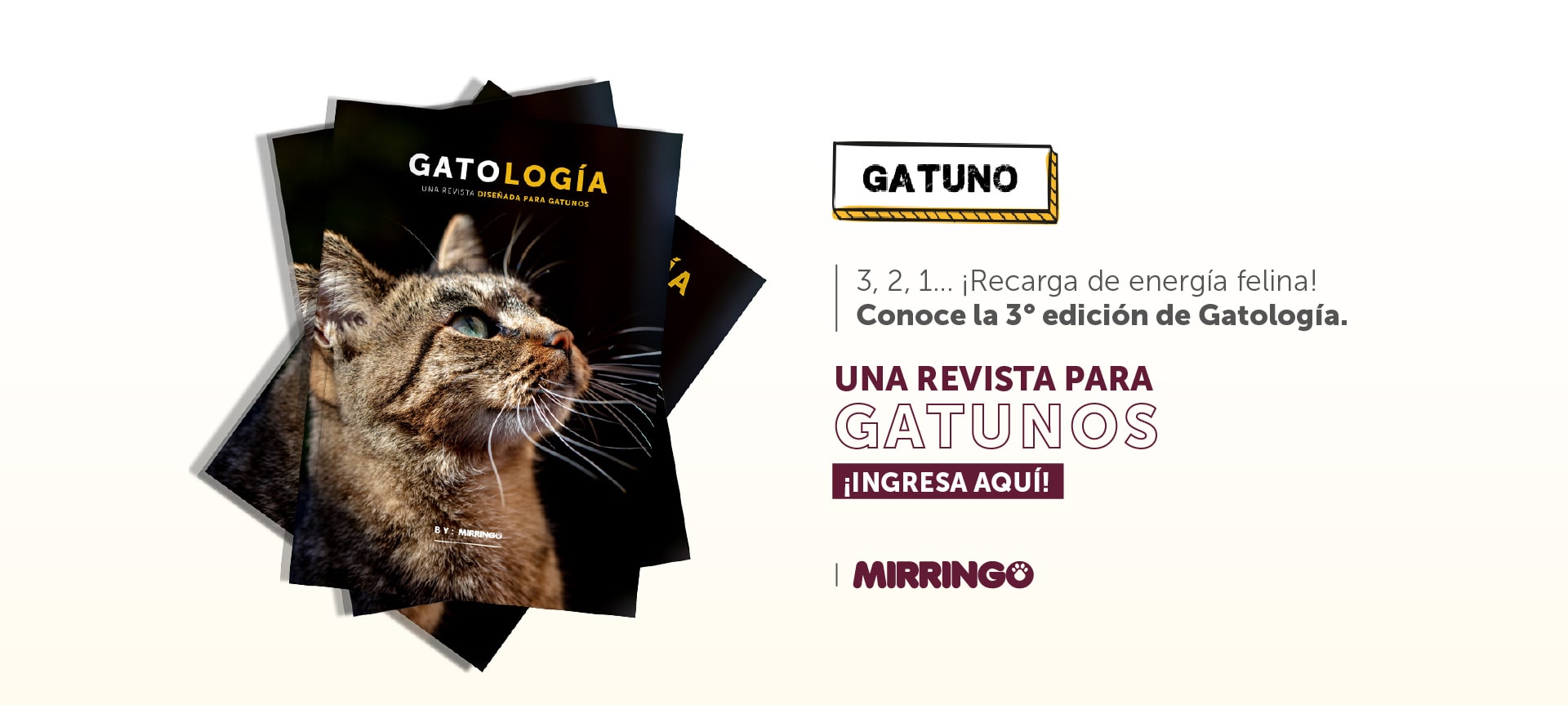  La importancia de medir el alimento de tu mirringo 2