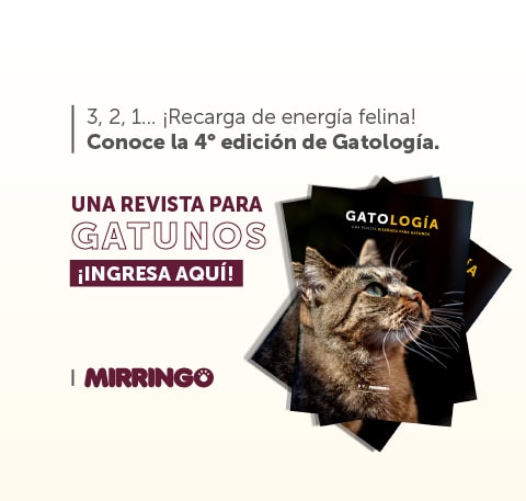  La importancia de medir el alimento de tu mirringo 2