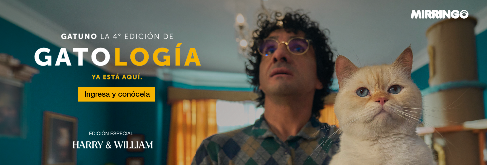  Banner Gatología edición 4