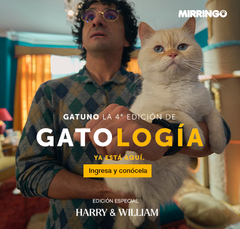  Banner Gatología edición 4