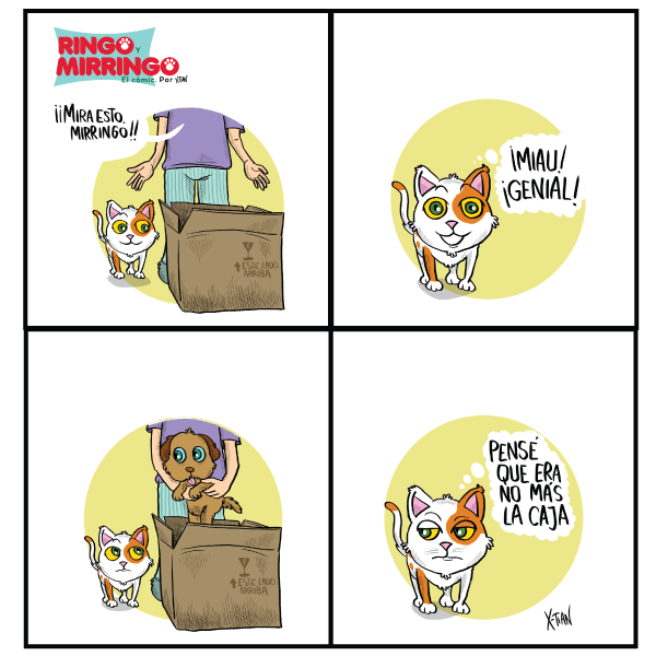 Las aventuras de ringo y mirringo Panamá Capítulo 1
