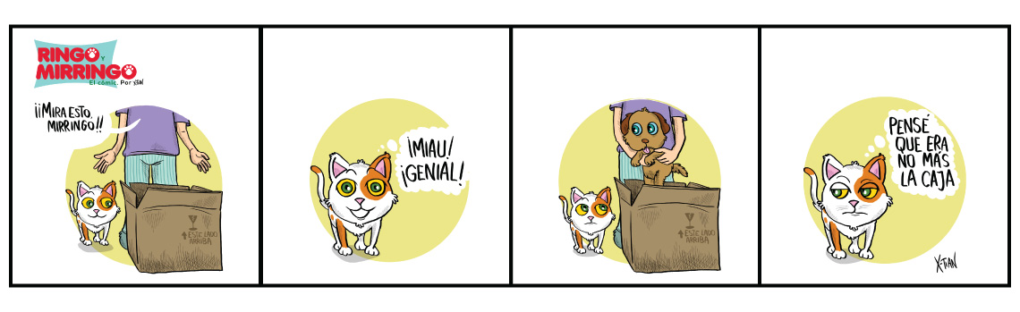 Las aventuras de ringo y mirringo Panamá Capítulo 1