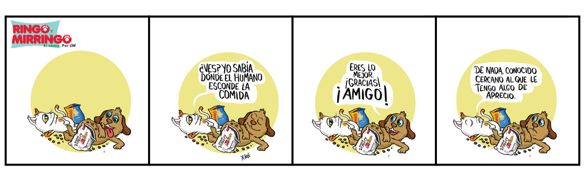 Capítulo 10 de Las venturas de Ringo y Mirringo