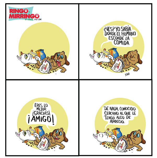 Capítulo 10 de Las venturas de Ringo y Mirringo Panamá
