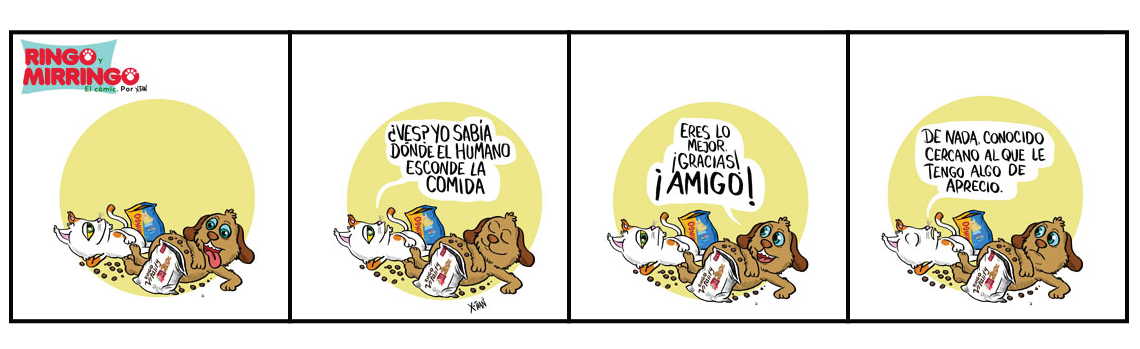 Capítulo 10 de Las venturas de Ringo y Mirringo Panamá