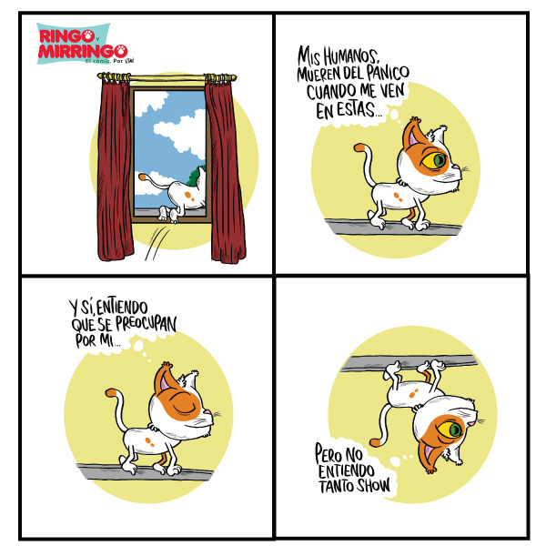 Mirringo Panamá Capítulo 13