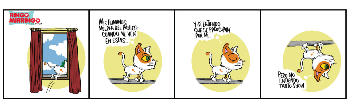 Mirringo Panamá Capítulo 13