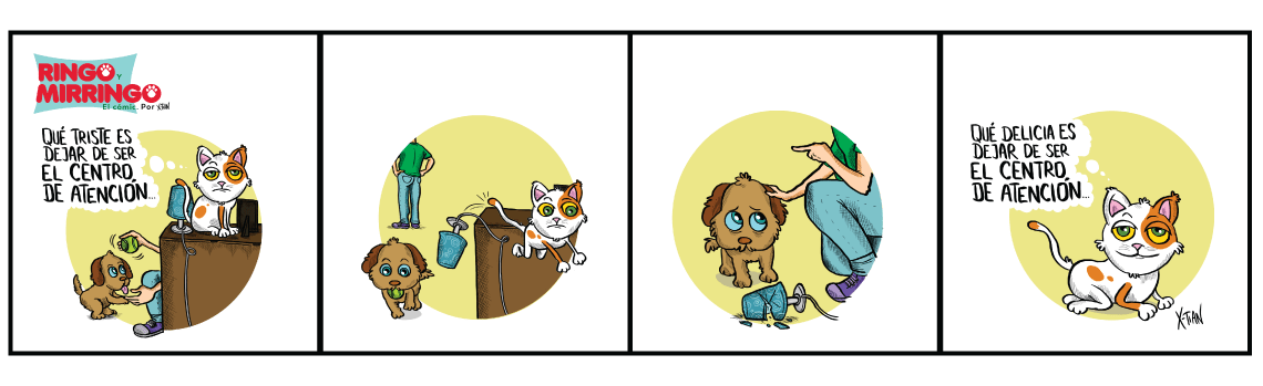 Las historietas de ringo y mirringo capítulo 3