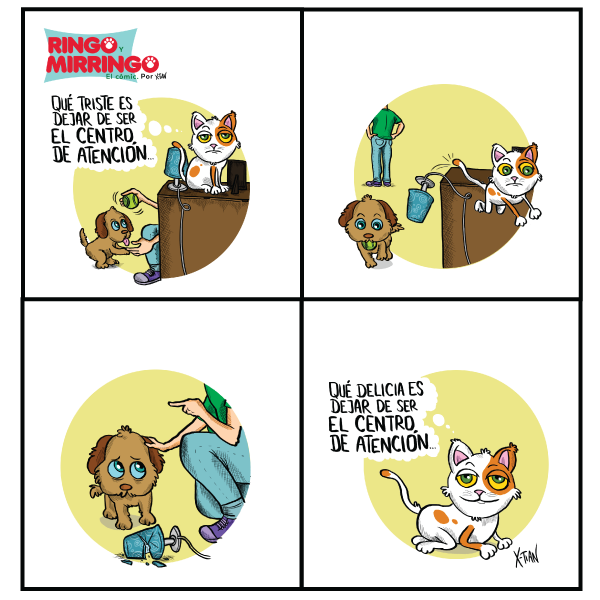 Las historietas de ringo y mirringo Panamá capítulo 3