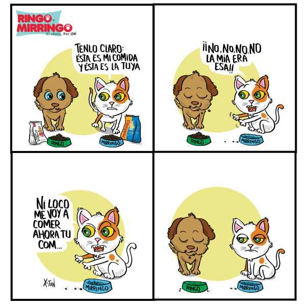 Capítulo 5 de Las aventuras de Ringo y Mirringo