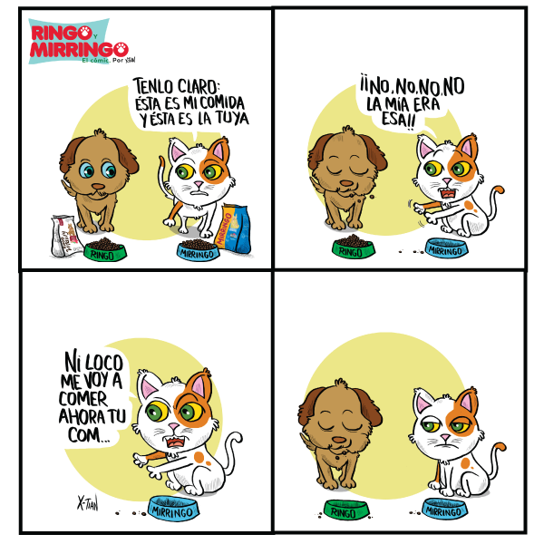 Capítulo 5 de Las aventuras de Ringo y Mirringo Panamá 