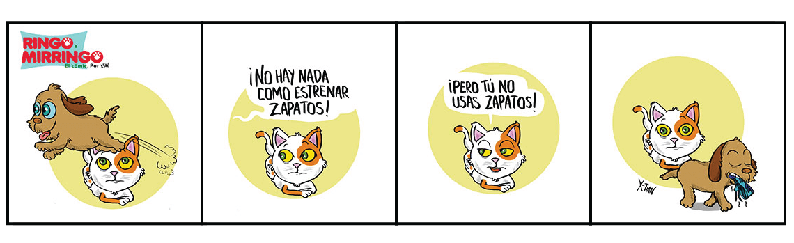 Capítulo 5 de Las aventuras de Ringo y Mirringo