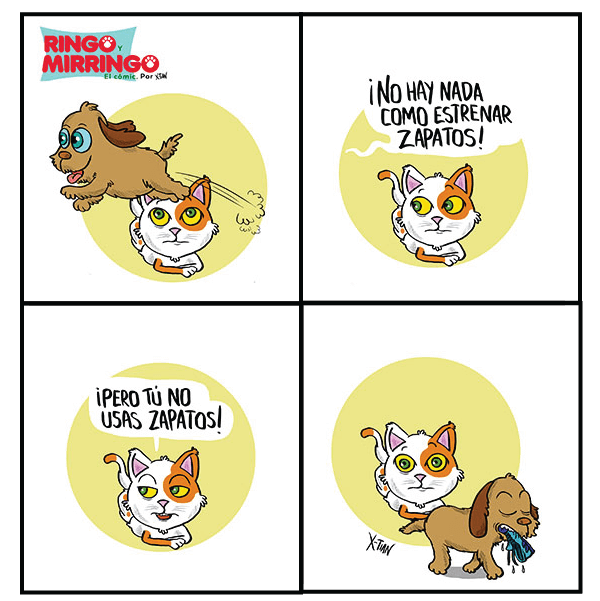 Capítulo 5 de Las aventuras de Ringo y Mirringo
