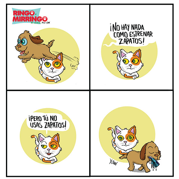 Capítulo 5 de Las aventuras de Ringo y Mirringo Panamá