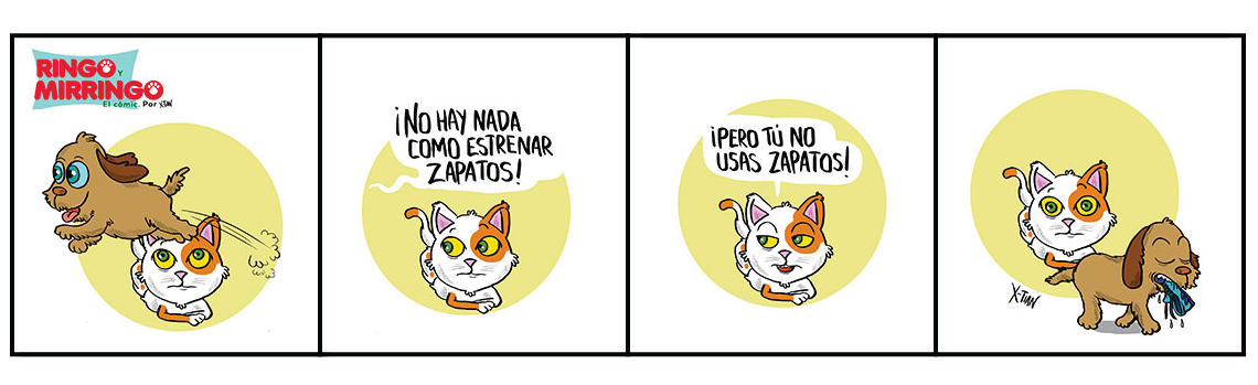 Capítulo 5 de Las aventuras de Ringo y Mirringo Panamá