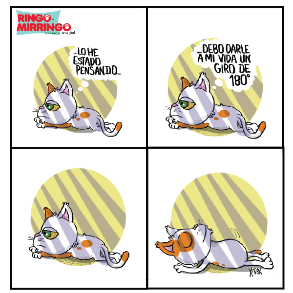 Capítulo 7 de Las aventuras de Ringo y Mirringo Panamá
