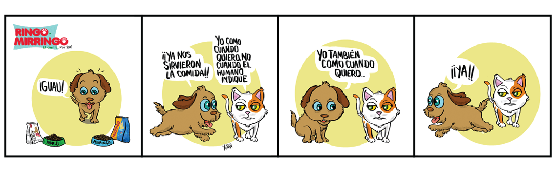 Capítulo 8 de Las aventuras de Ringo y Mirringo