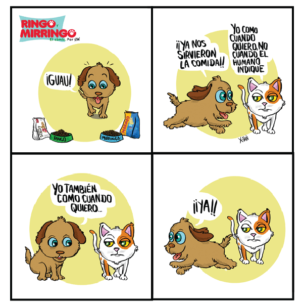 Capítulo 8 de Las aventuras de Ringo y Mirringo