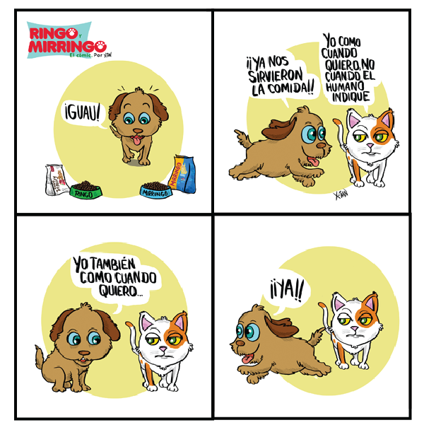 Capítulo 8 de Las aventuras de Ringo y Mirringo Panamá