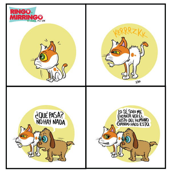 Capítulo 9 de Las venturas de Ringo y Mirringo