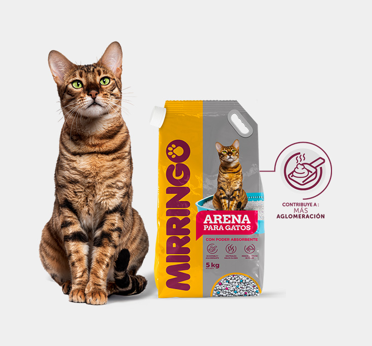 Nuestros - productos - arena