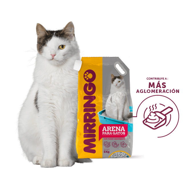 Nuestros - productos - arena