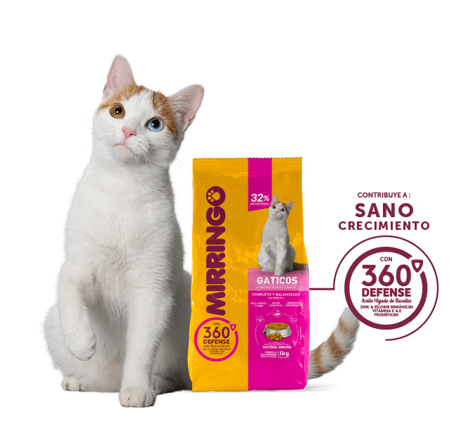 producto mirringo gaticos