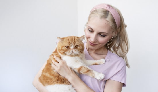 Consejos para reforzar la relación con tu gato