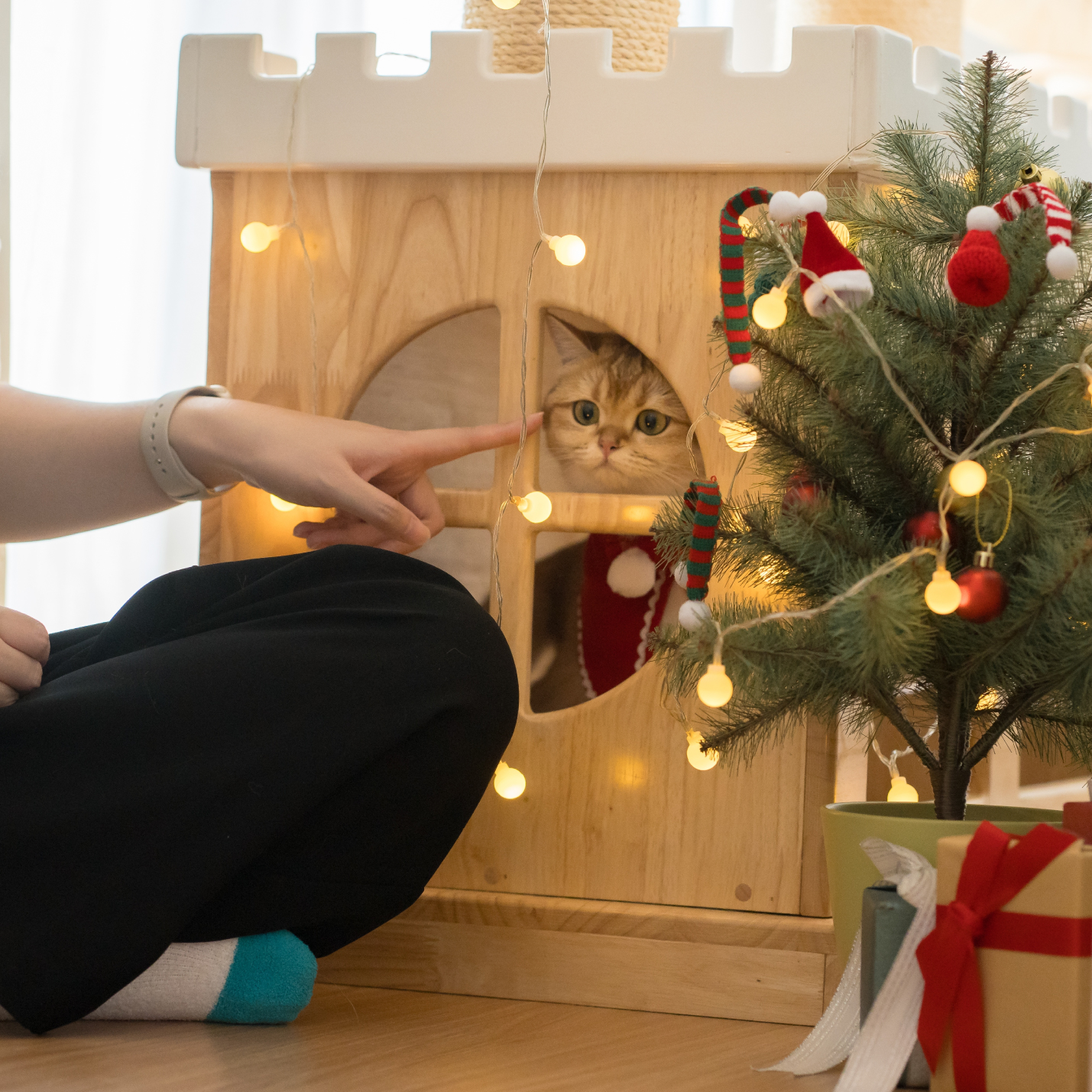 como-tener-un-arbol-de-navidad-cuando-tienes-un-gato.jpg
