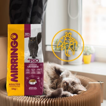 comida para gatos con problemas urinarios.jpg