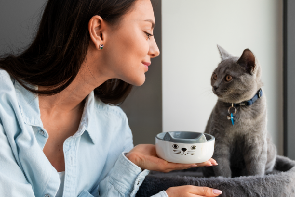 Gato comiendo de un comedero amplio que evita el roce de sus bigotes con los bordes.