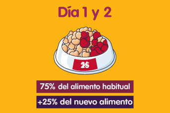 transicion1.jpg