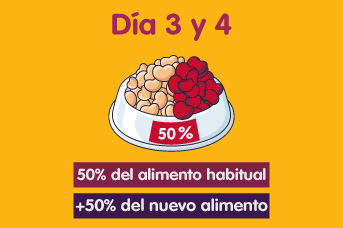 transicion2.jpg