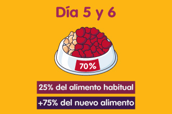 transicion3.jpg