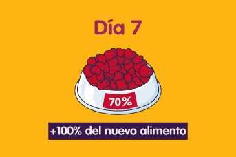 transicion4.jpg